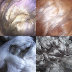Stacks Image 41